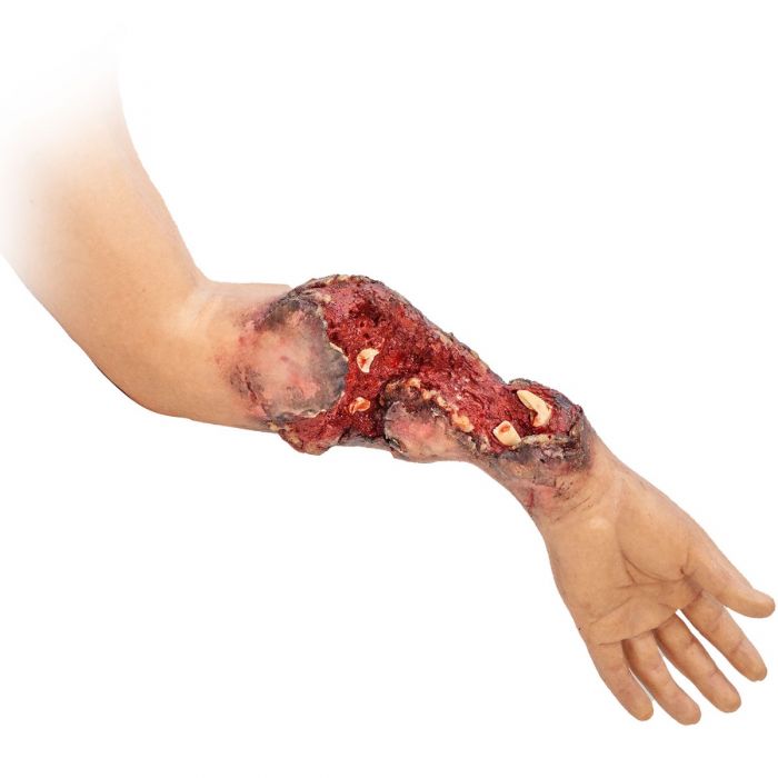 TOMManikin - BASIC image 1