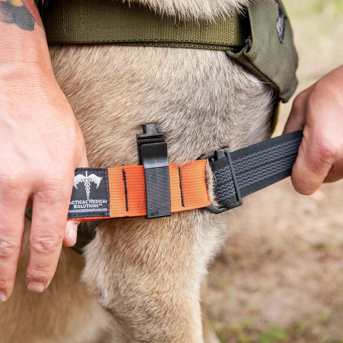 K9 Medical