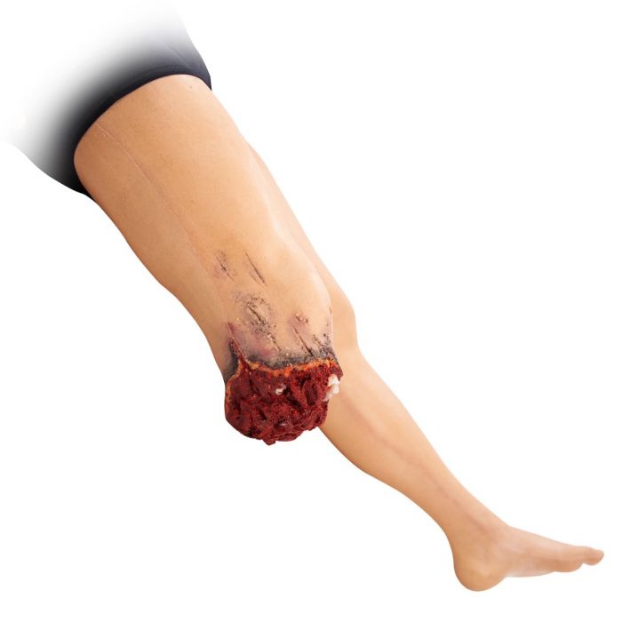 TOMManikin - BLAST image 7