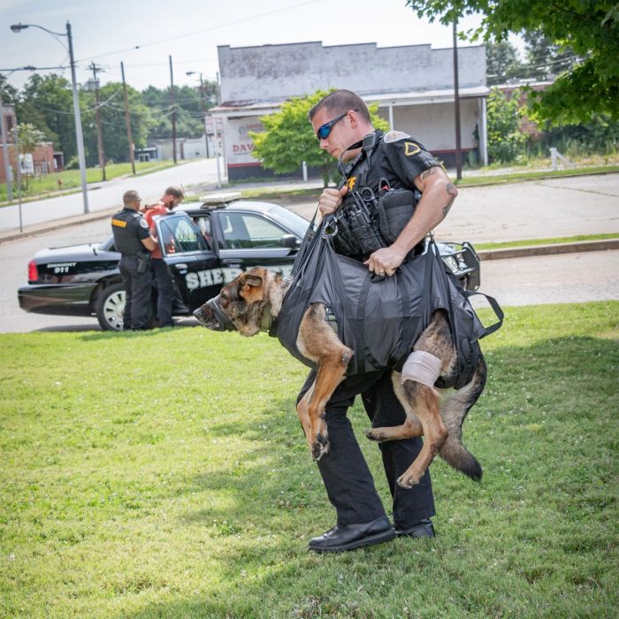 NAR K-9 Litter image 2